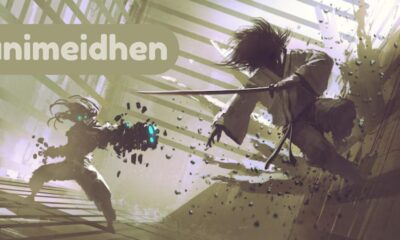 animeidhen