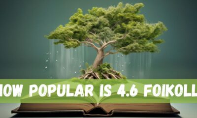 How Popular is 4.6 foikolli