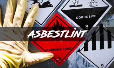 asbestlint