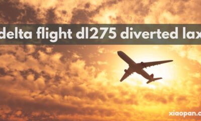 delta flight dl275 diverted lax