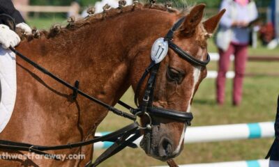 equestrian paralympics 2024 2024