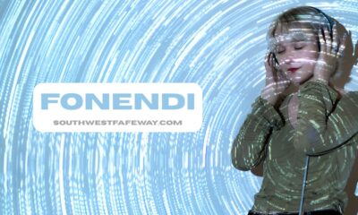 fonendi